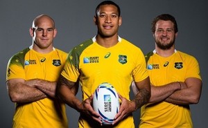 wallabies cheika