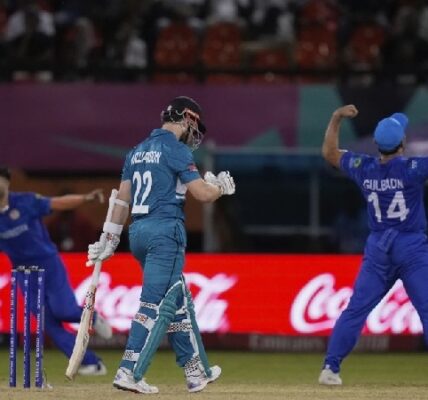 Afghanistan beat New Zealand in T20 world cup 2024